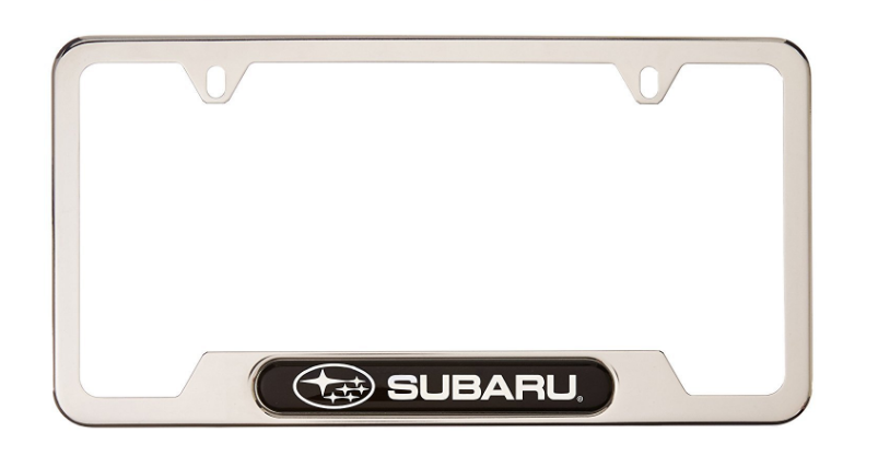 Car license frame 2